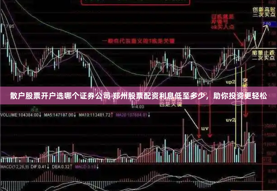 散户股票开户选哪个证券公司 郑州股票配资利息低至多少,助你投资更轻松