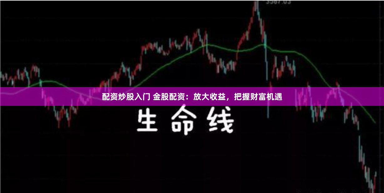 配资炒股入门 金股配资：放大收益，把握财富机遇