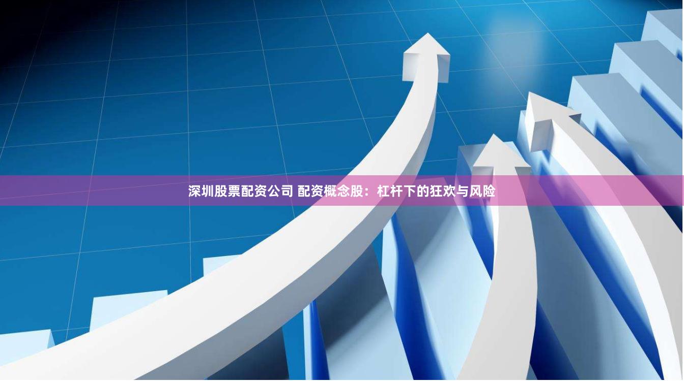 深圳股票配资公司 配资概念股：杠杆下的狂欢与风险
