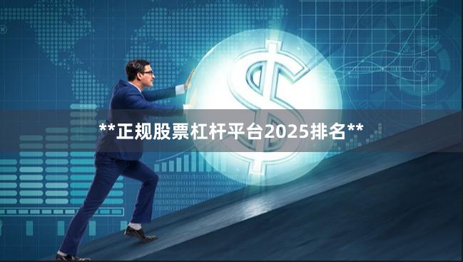 **正规股票杠杆平台2025排名**