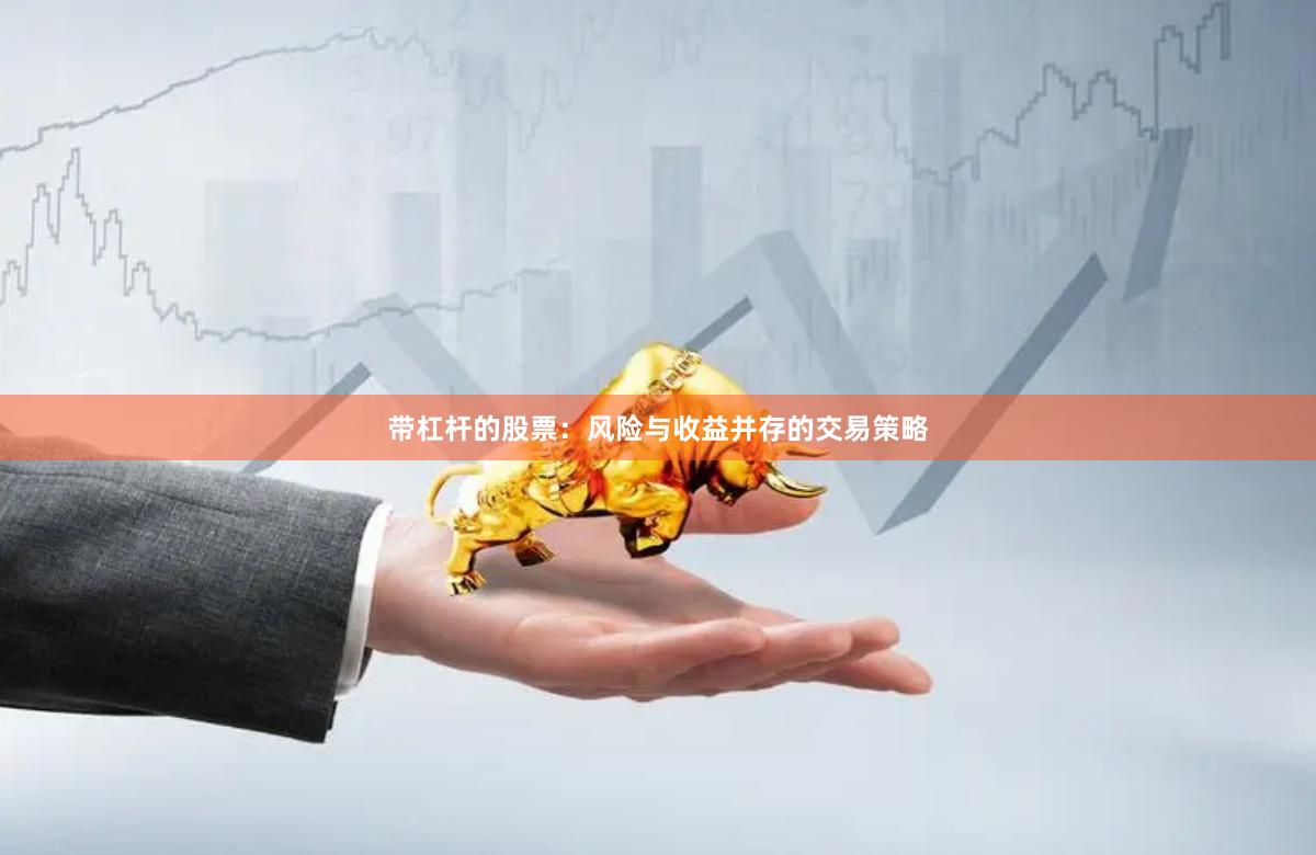 带杠杆的股票：风险与收益并存的交易策略